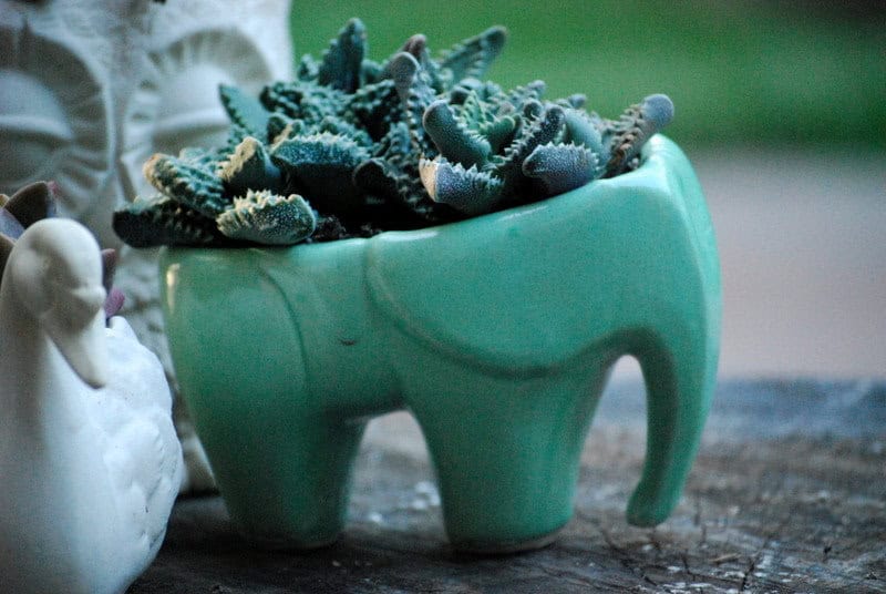 Large Elephant planter in mint green 20 Creative Handmade Planter Designs (15)