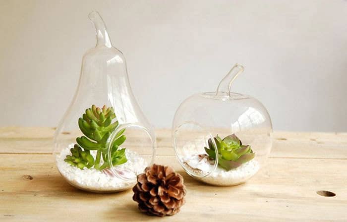 Glass Apple and Pear Style Planter 20 Creative Handmade Planter Designs (8)