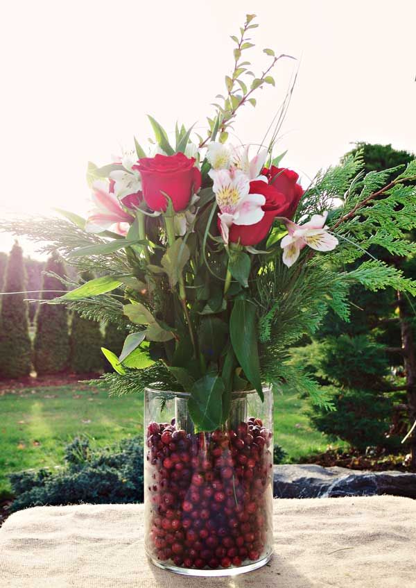 28 Brilliant DIY Cranberries Décor Ideas