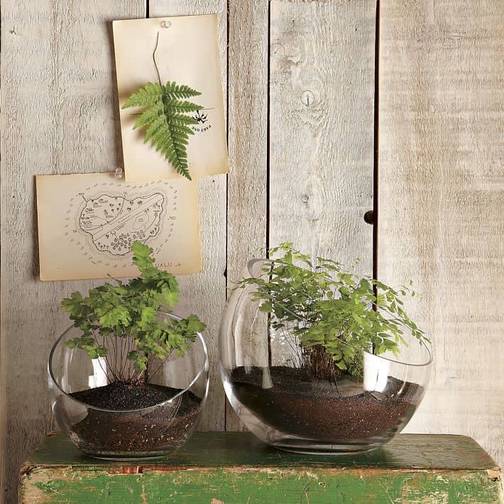 23 Great Ideas To Freshen Up Your Home With Mini Terrarium 23