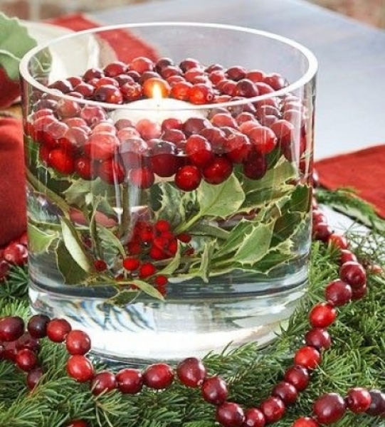 28 Brilliant DIY Cranberries Décor Ideas