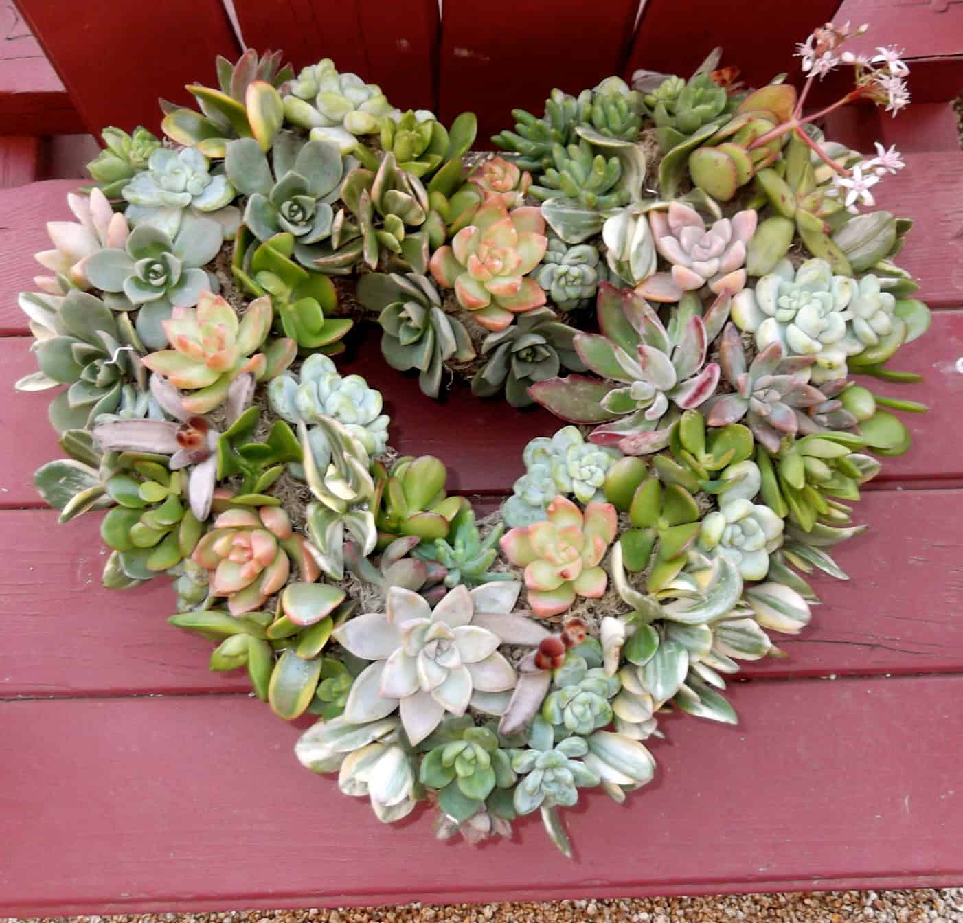 Living Succulent Heart Wreath 19 Outstanding Handmade Valentine's Wreaths (19)