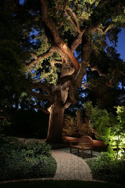 20 creative ideas of landscape lighting for dramatic backyard