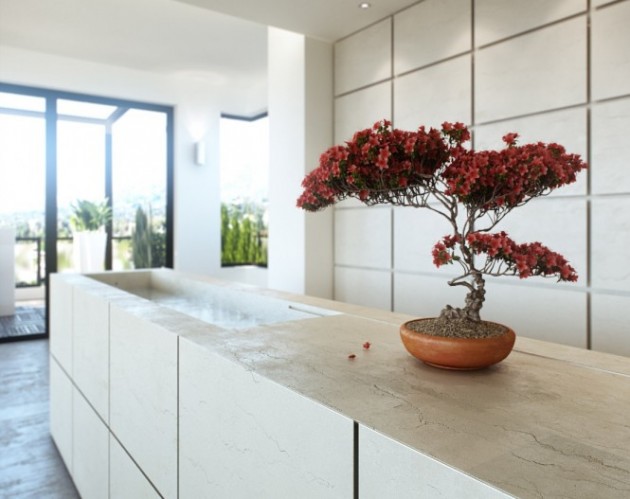 22 Fantastic Ideas How To Revive Your Home with Bonsai
