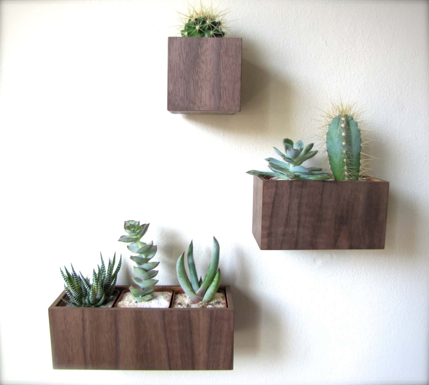 Wall Hanging Planters in WALNUT wood 1
