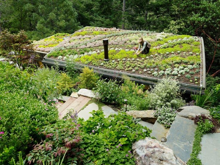 30 Incredible Green Roof Designs 13