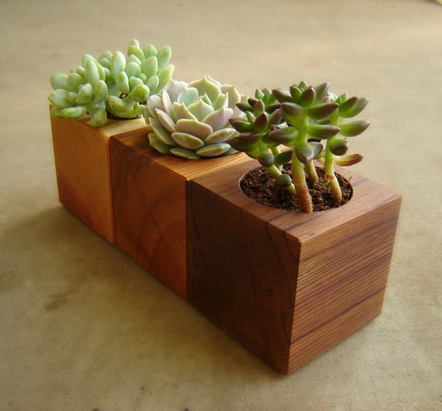 16 Minimalistic Handmade Wooden Planter Designs (15)