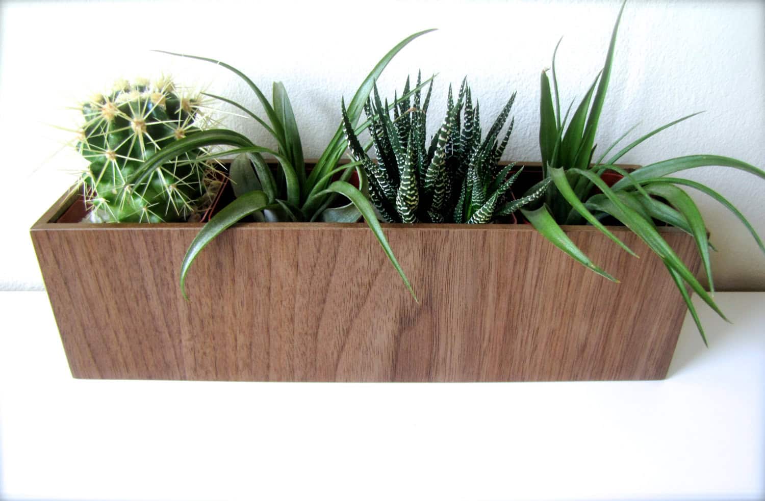 Plant Holder for Succulents, Cacti, or Air Plants in WALNUT wood 16 Minimalistic Handmade Wooden Planter Designs (4)