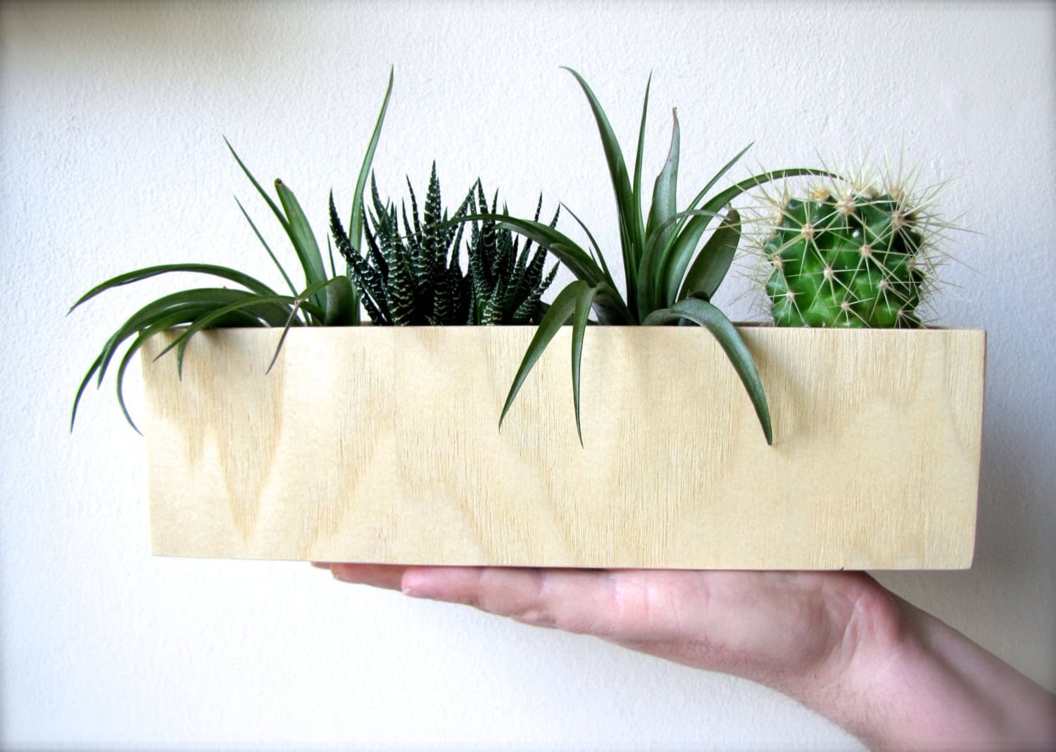 Ash Wood Planter 16 Minimalistic Handmade Wooden Planter Designs (5)