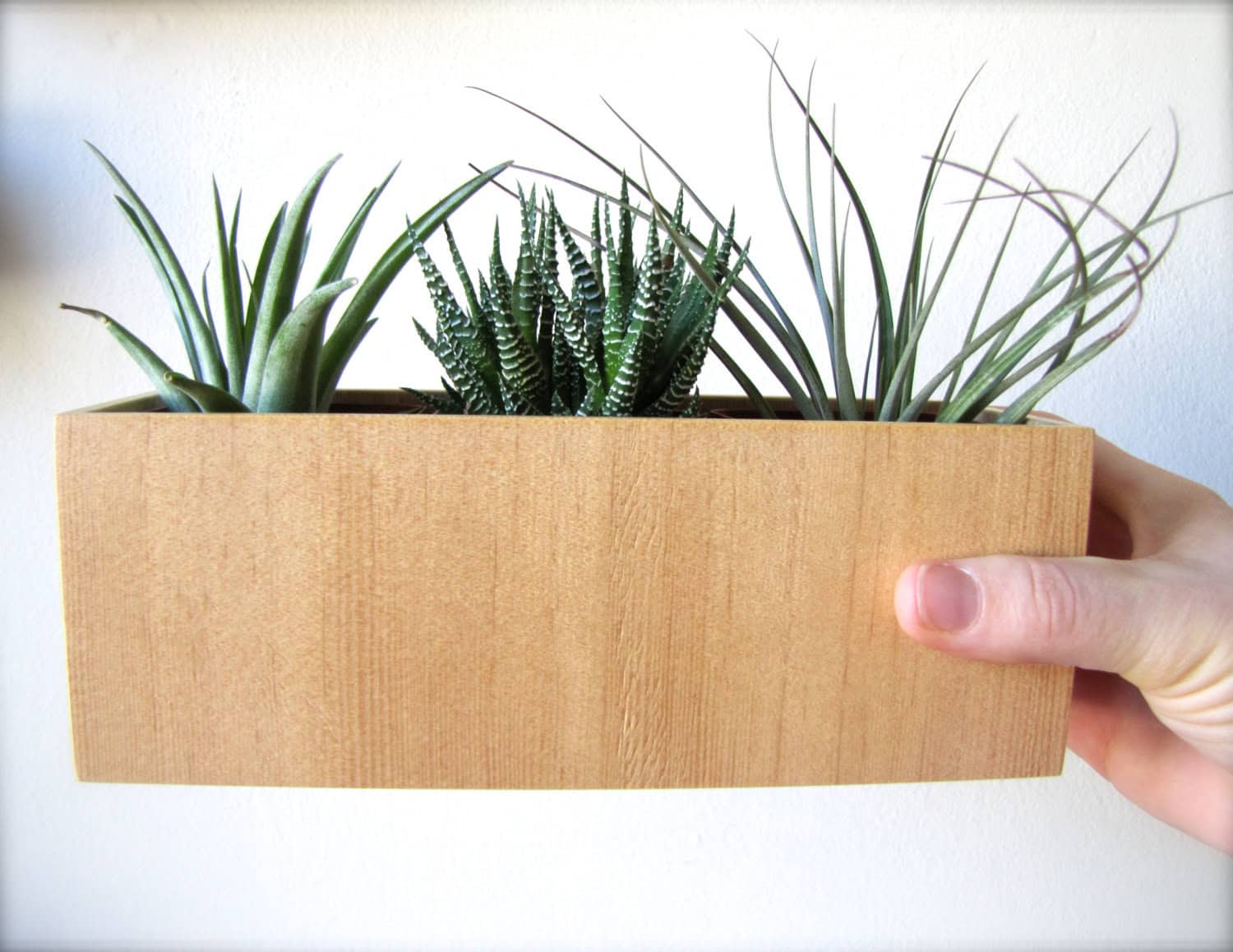 Plant Holder for Succulents, Cacti, or Air Plants in VG FIR wood 16 Minimalistic Handmade Wooden Planter Designs (6)