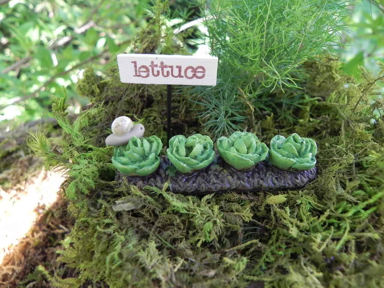 Miniature garden lettuce with sign and snail Buy it here: www.etsy.com