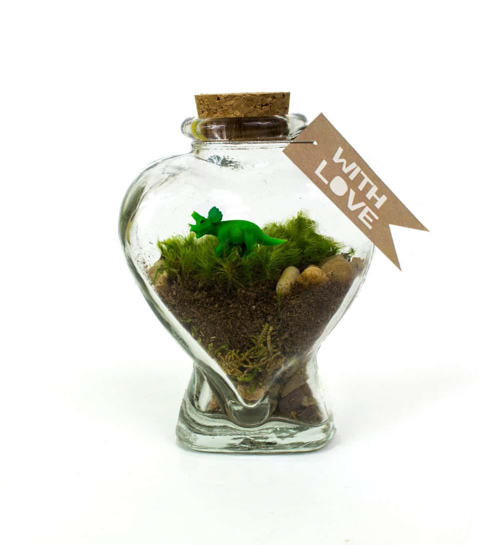 17 Whimsical Themed Terrarium Decorations