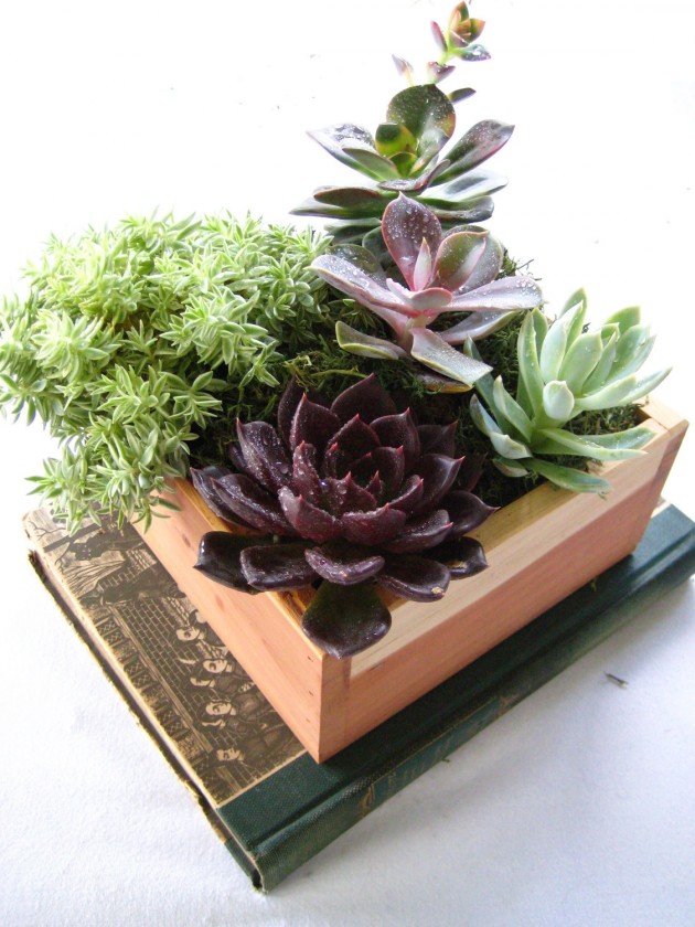 18 Lively Handmade Succulent Spring Decorations (1)