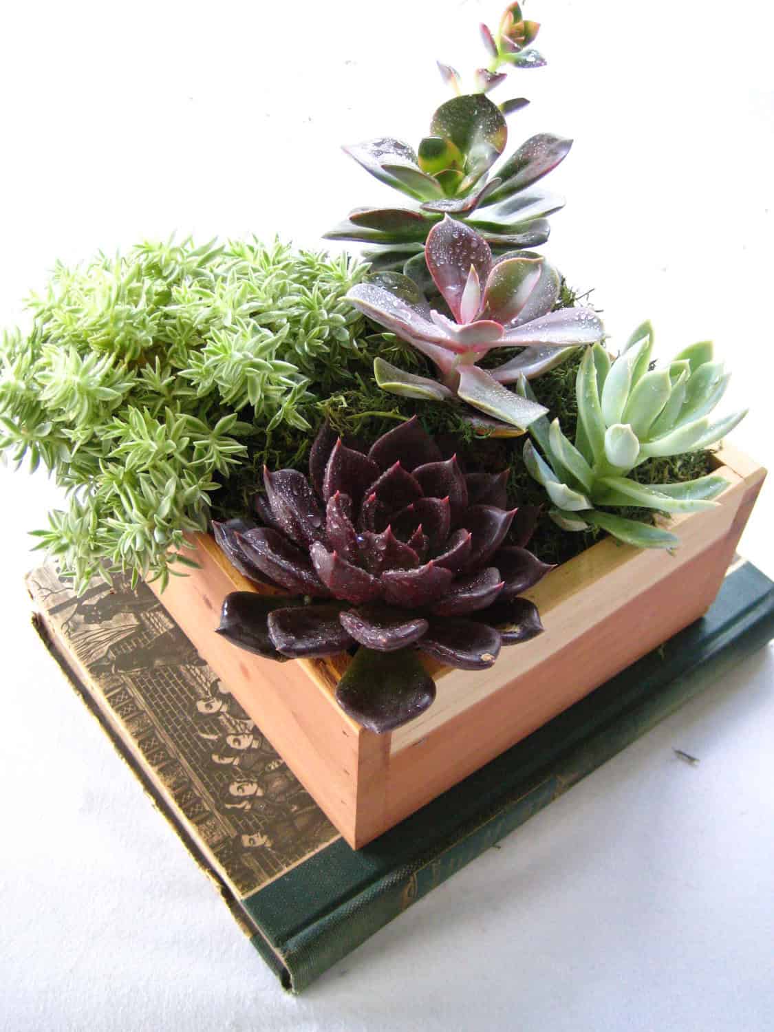 Succulent Rustic Wood Planter 18 Lively Handmade Succulent Spring Decorations (1)
