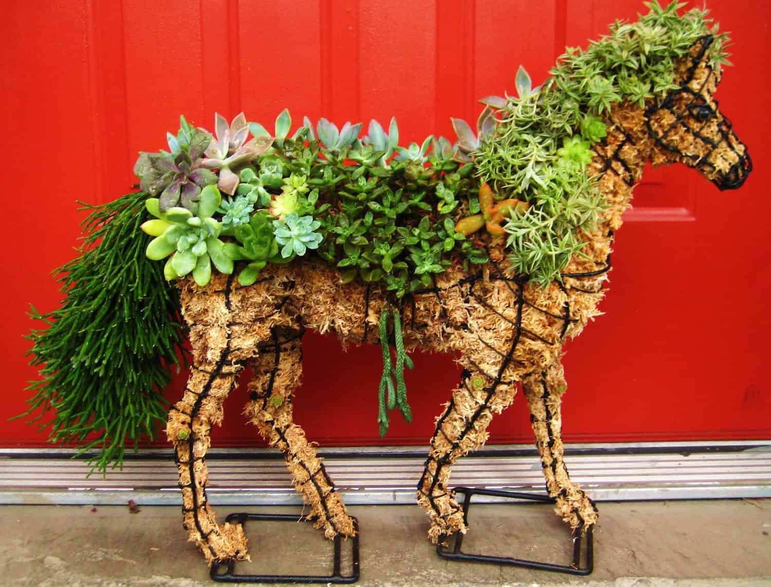 Succulent Horse Topiary 18 Lively Handmade Succulent Spring Decorations (11)