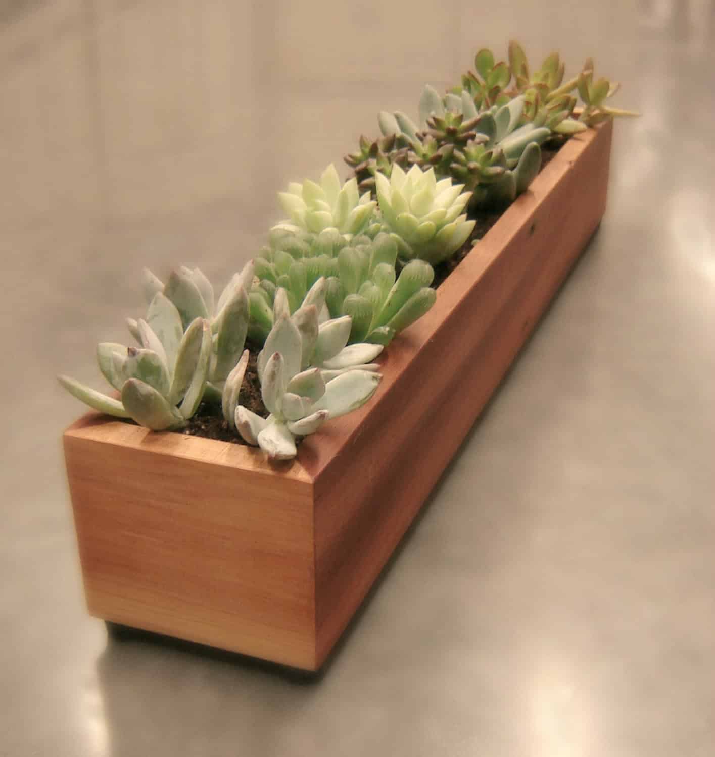 Long Window Box Succulent Planter in Reclaimed Cedar 18 Lively Handmade Succulent Spring Decorations (12)
