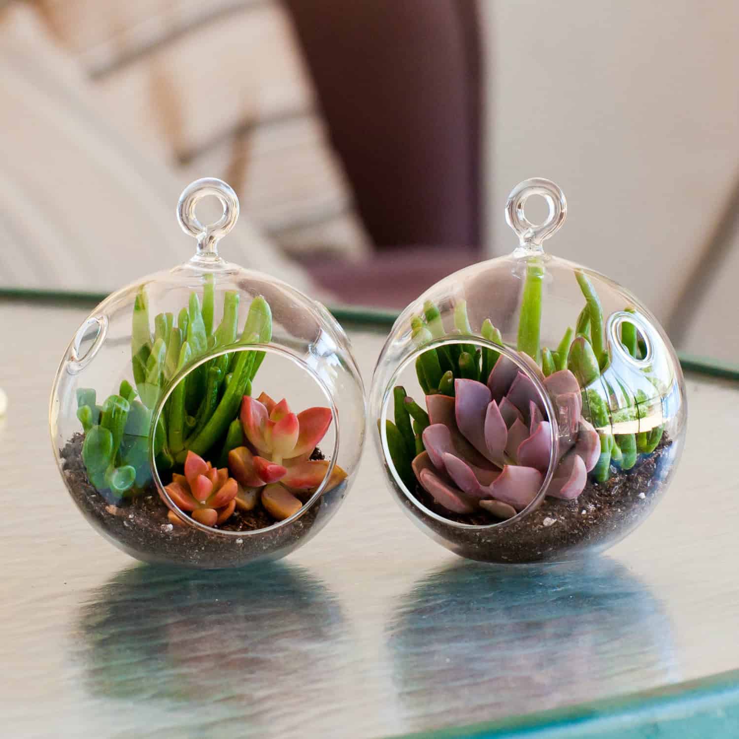 Mini Succulent Terrarium 18 Lively Handmade Succulent Spring Decorations (14)