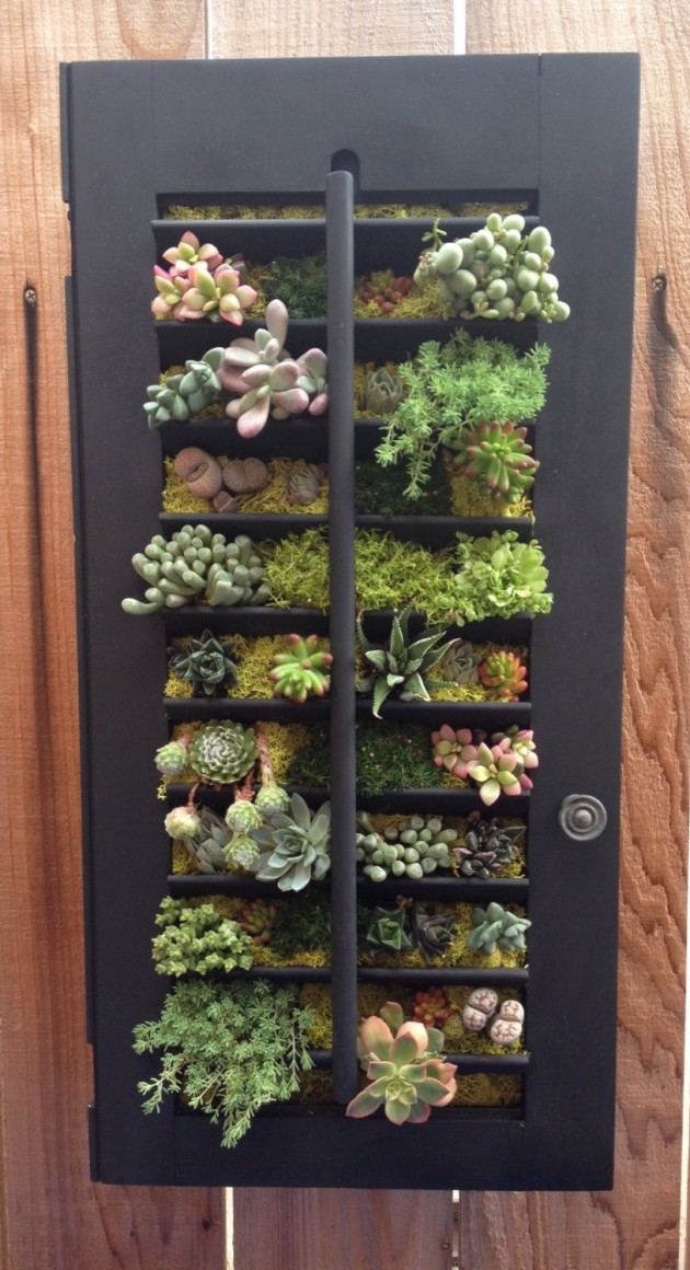 18 Lively Handmade Succulent Spring Decorations