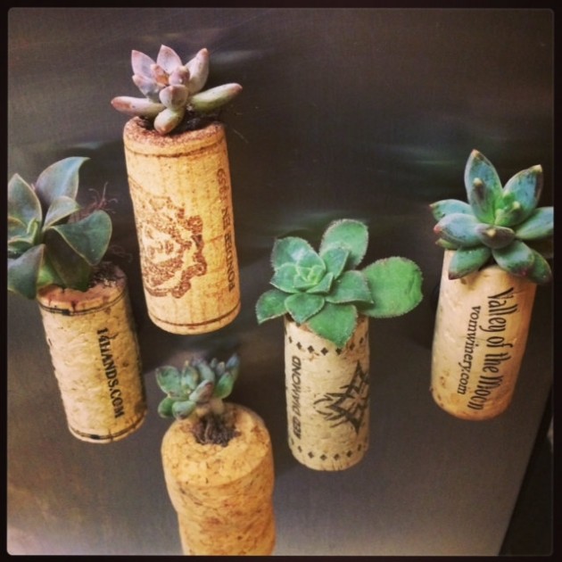 18 Lively Handmade Succulent Spring Decorations