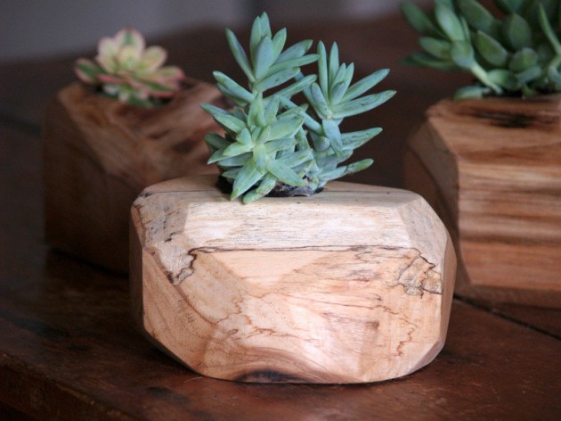18 Lively Handmade Succulent Spring Decorations