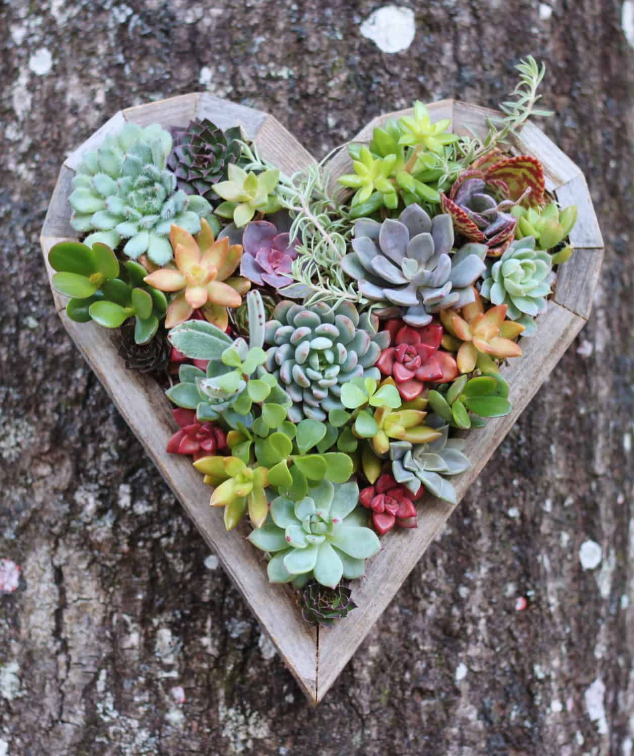 Succulent Heart Vertical Planter 18 Lively Handmade Succulent Spring Decorations (2)
