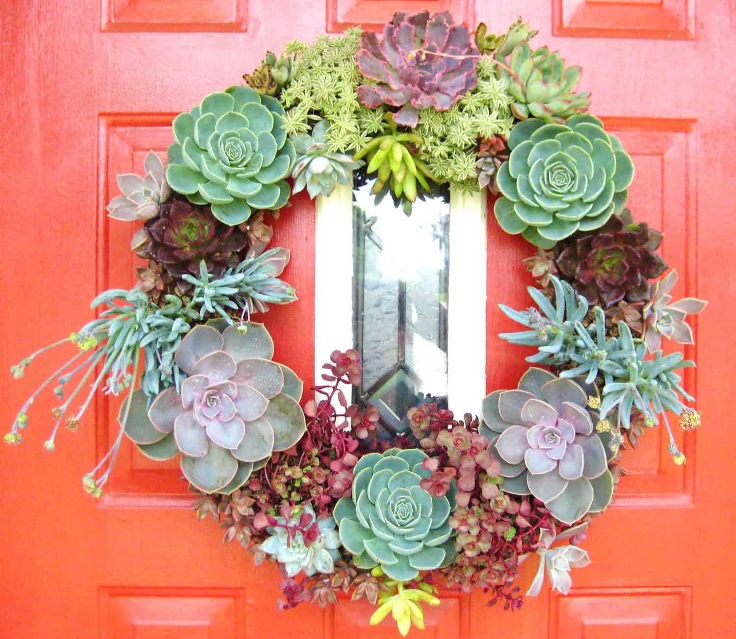 Succulent Wreath 18 Lively Handmade Succulent Spring Decorations (3)