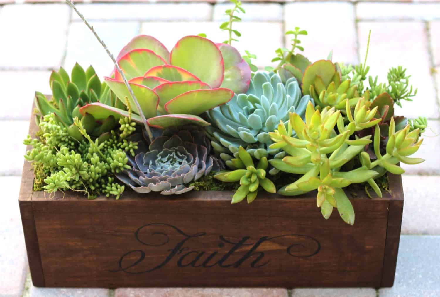 Succulent Centerpiece Trough Planter 18 Lively Handmade Succulent Spring Decorations (4)