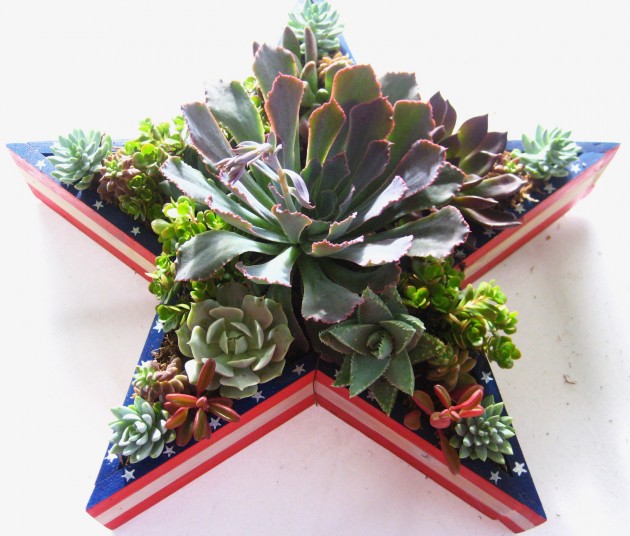 18 Lively Handmade Succulent Spring Decorations