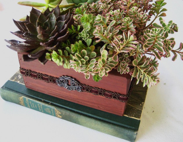 18 Lively Handmade Succulent Spring Decorations
