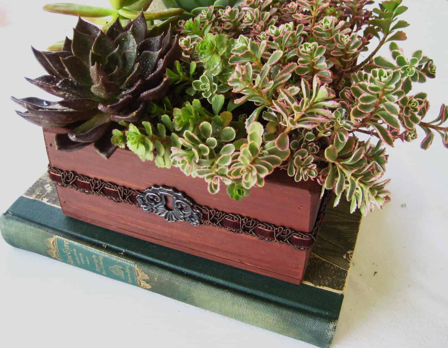 Succulent Rustic Romance Box Planter 18 Lively Handmade Succulent Spring Decorations (6)