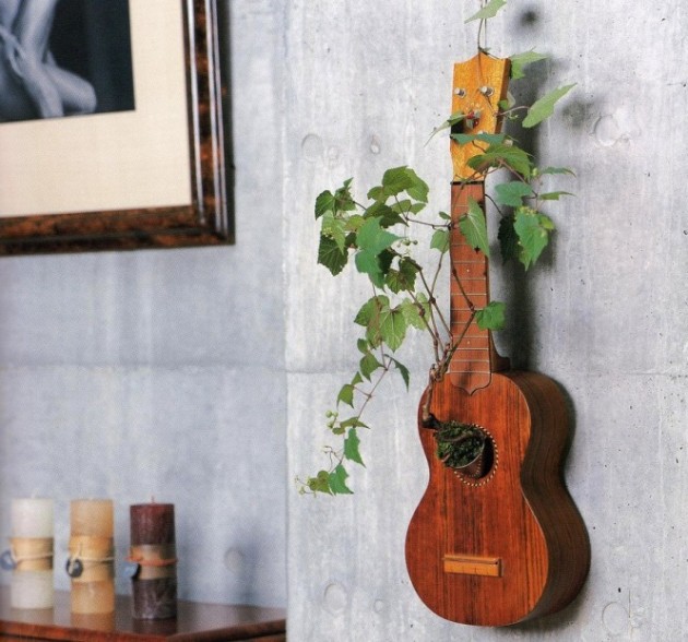 22 Fantastic Ideas How To Revive Your Home with Bonsai