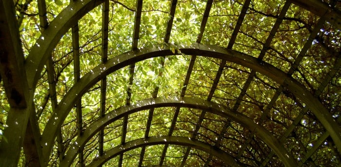 30 Incredible Green Roof Designs 3