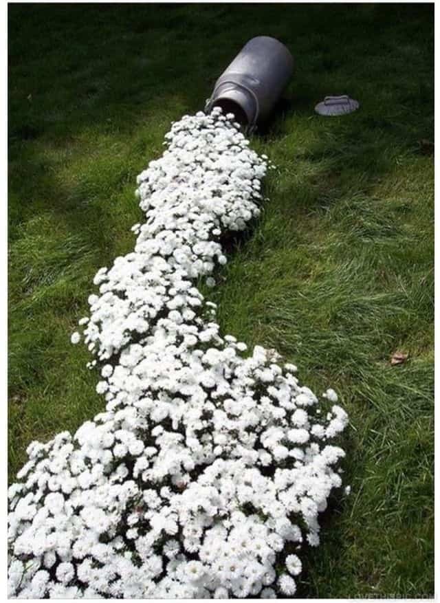 25 Amazing DIY Ideas How to Upgrade your Garden this Year 4