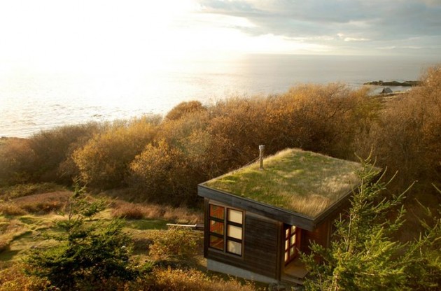 30 Incredible Green Roof Designs