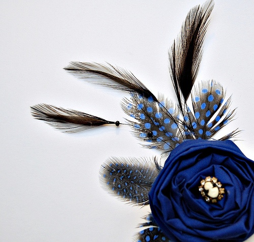 25 Lovely DIY Feather Crafts Ideas