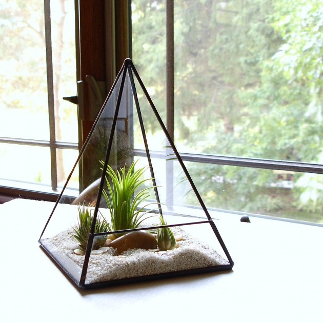 Decorate Your Home with Charming Little Terrariums