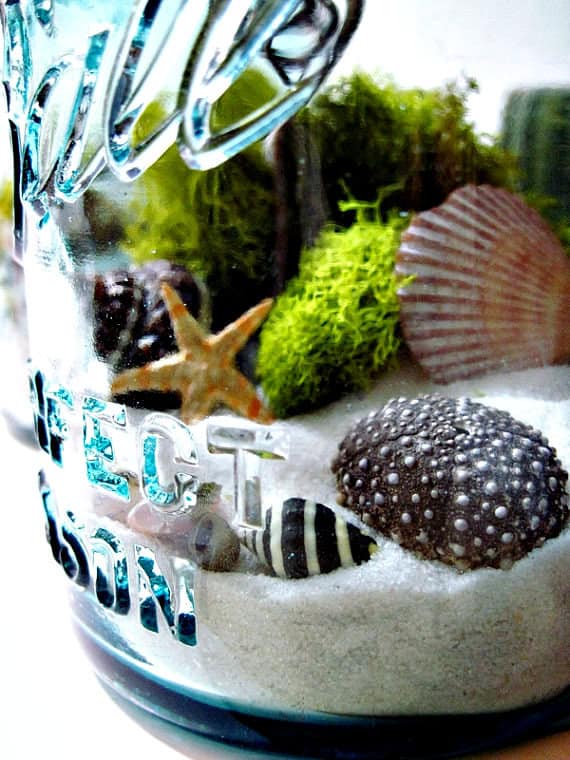 Decorate Your Home with Charming Little Terrariums (10)