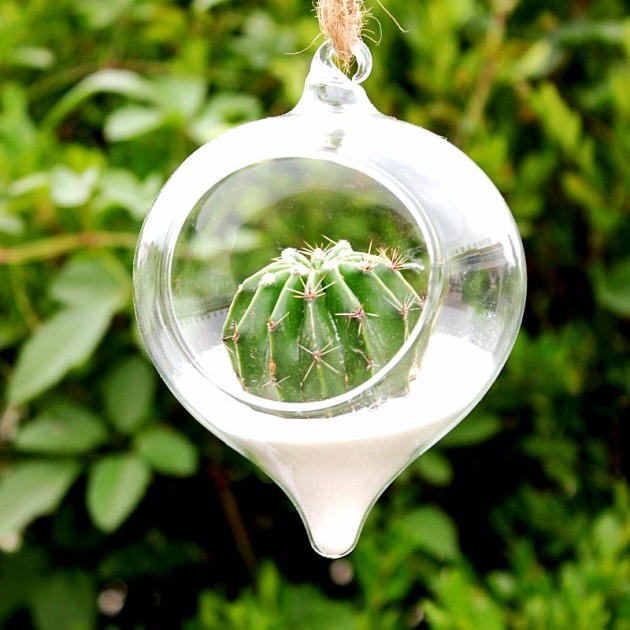 Decorate Your Home with Charming Little Terrariums (12)