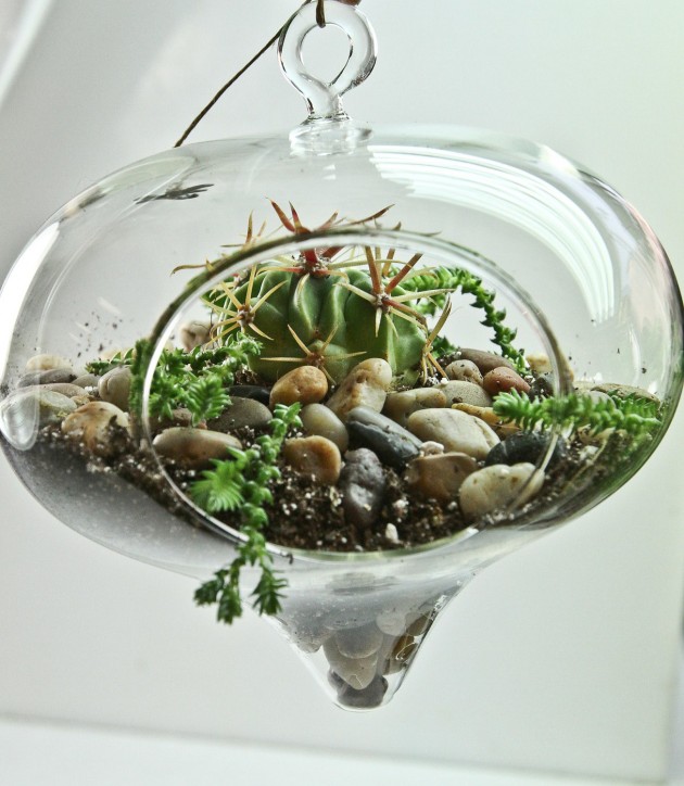 Decorate Your Home with Charming Little Terrariums (13)