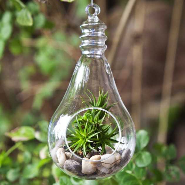 Decorate Your Home with Charming Little Terrariums (16)