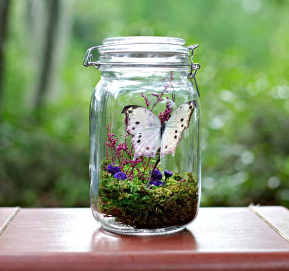 Decorate Your Home with Charming Little Terrariums (17)