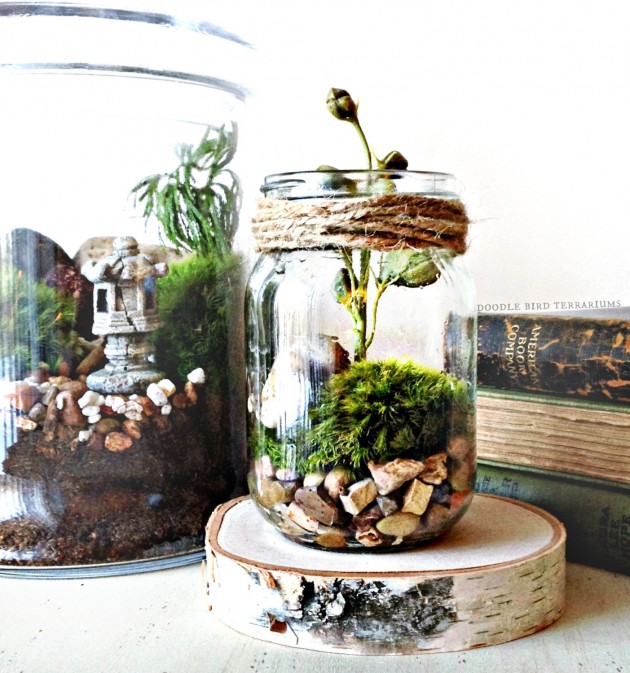 Decorate Your Home with Charming Little Terrariums (19)