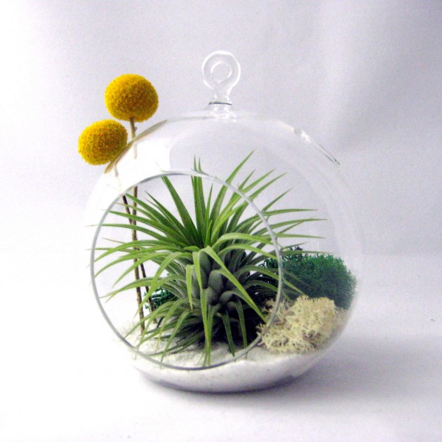 Decorate Your Home with Charming Little Terrariums (20)