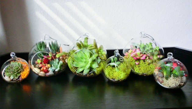 Decorate Your Home with Charming Little Terrariums (4)