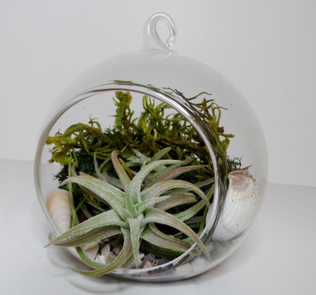 Decorate Your Home with Charming Little Terrariums (6)