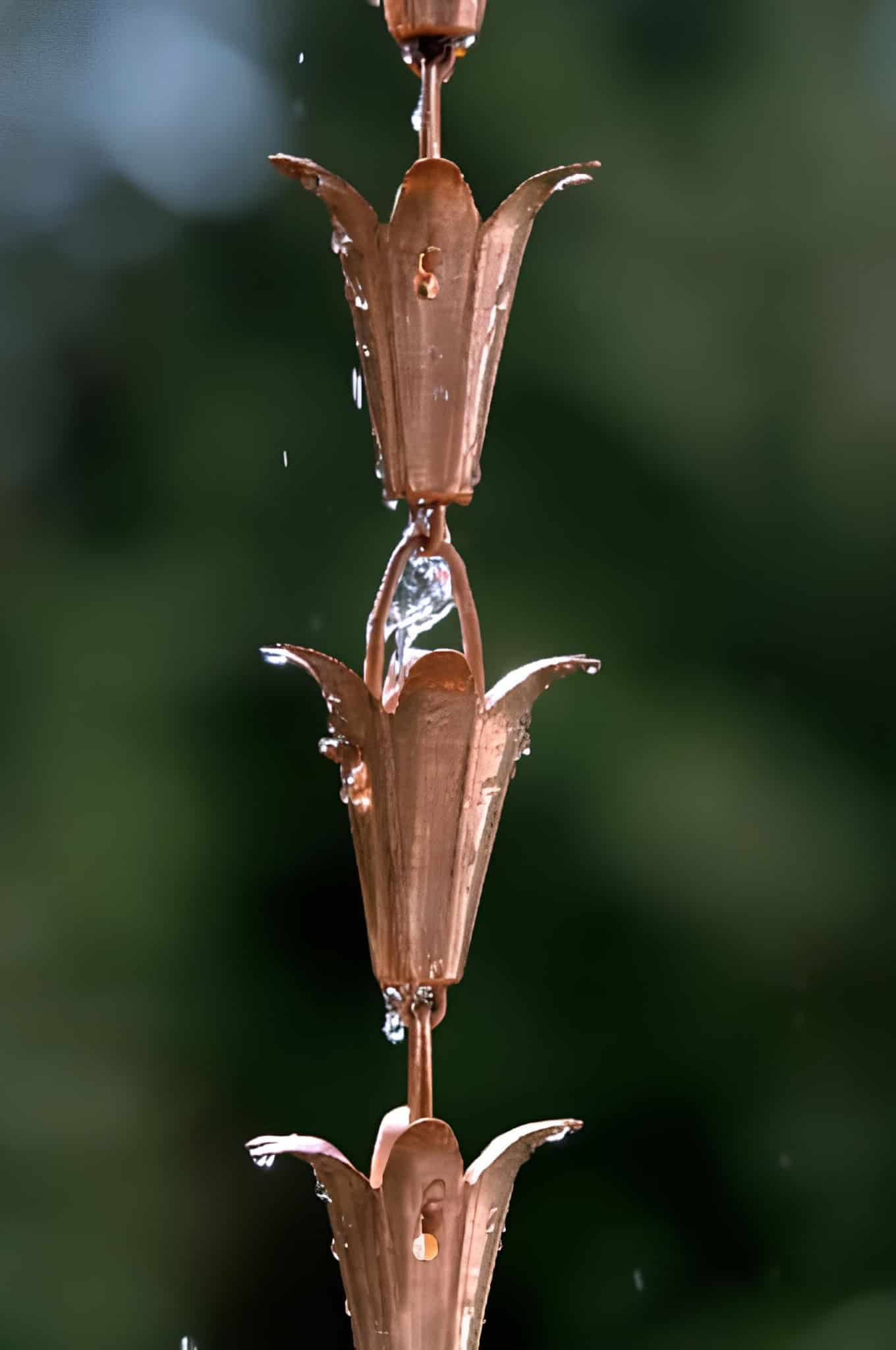 Close-up of copper flower shaped rain chain cups catching falling water
