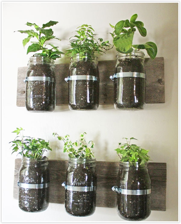 30 Amazing Diy Indoor Herbs Garden Ideas, Tabletop Herb Garden Diy