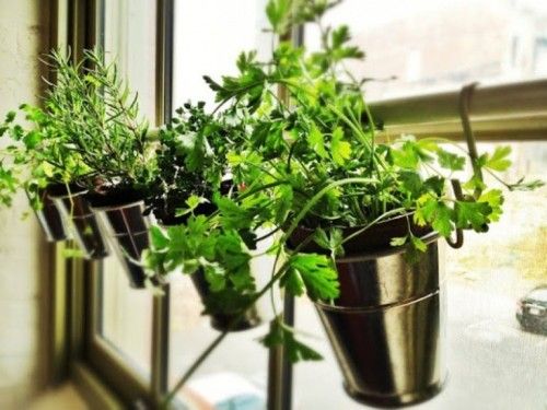 30 Amazing DIY Indoor Herbs Garden Ideas