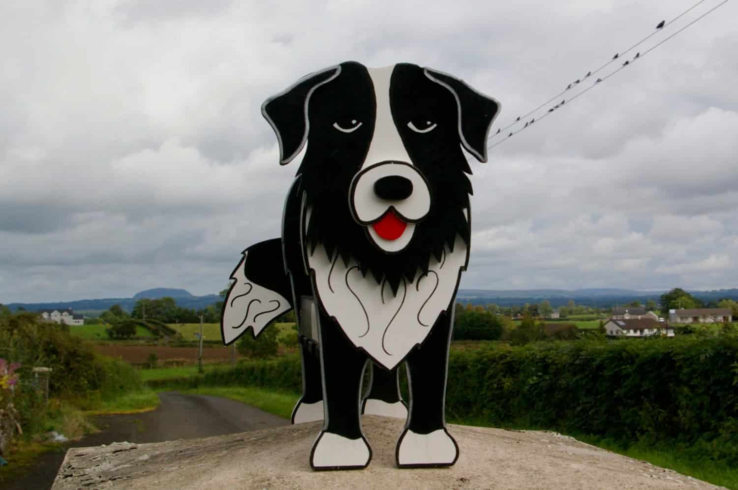 Border Collie Buy it here: www.etsy.com