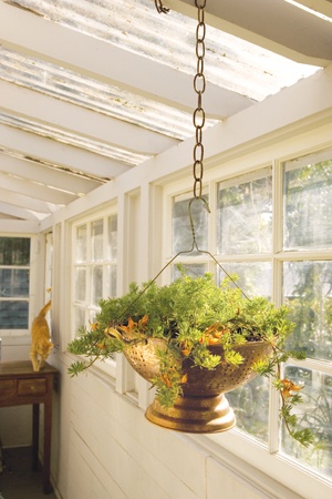 25 Lovely DIY Hanging Planters